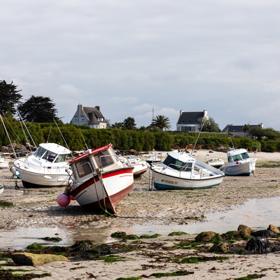 Bretagne, vents et matières - photographie 9 par Michel Pachot