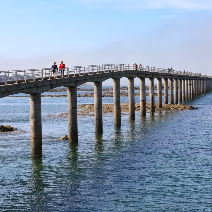 Bretagne, vents et matières - photographie 24 par Michel Pachot