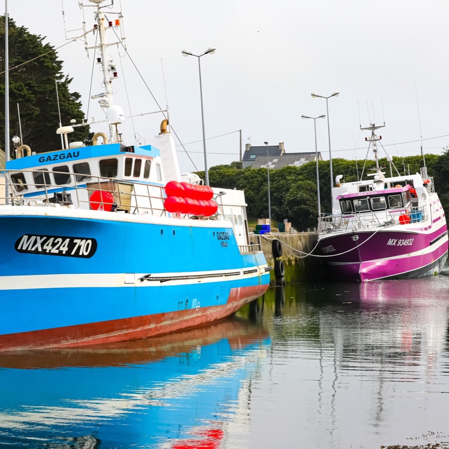 Bretagne, vents et matières - photographie 33 par Michel Pachot