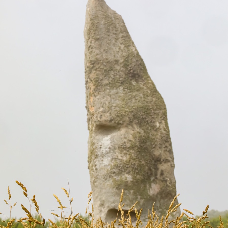 Bretagne, vents et matières - photographie 37 par Michel Pachot