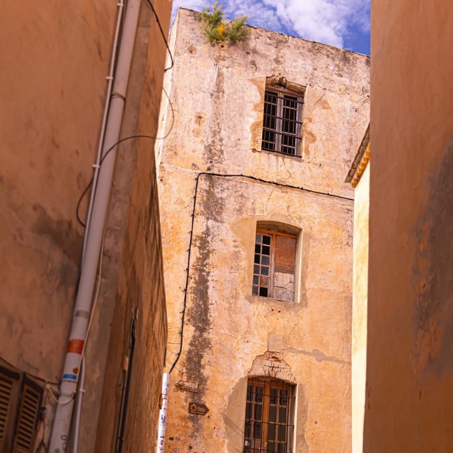 Corse, lumière méditerranéenne - photographie 6 par Michel Pachot
