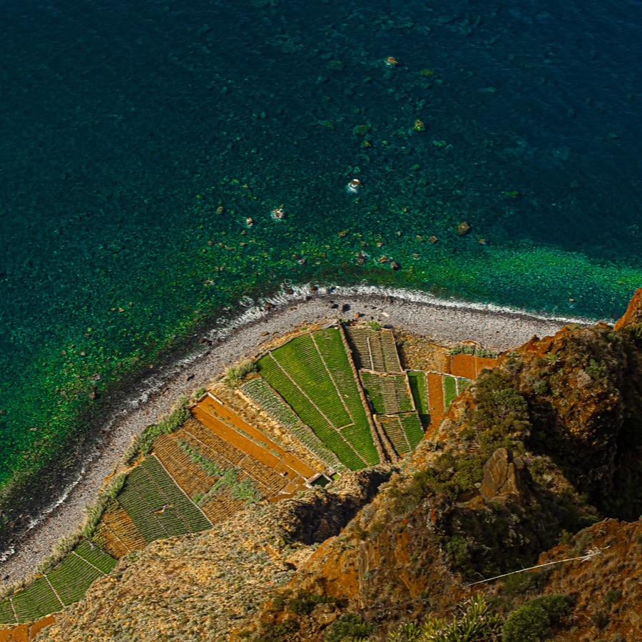 Madère, lignes insulaires - photographie 7 par Michel Pachot